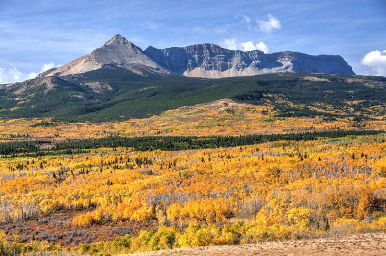 Montana in October Things To Do, Weather, Travel & Events