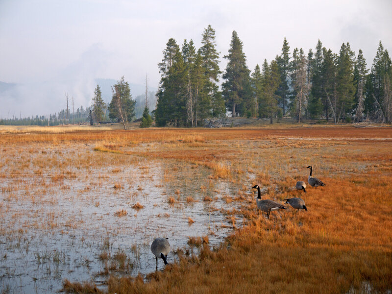 bird-watching and photography