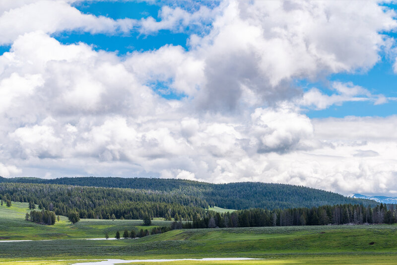 hayden and lamar valley