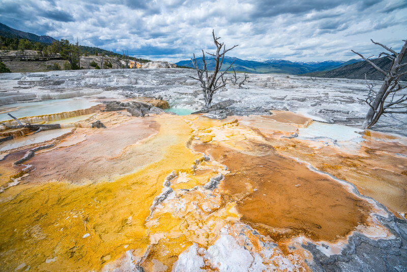 mammoth hot springs