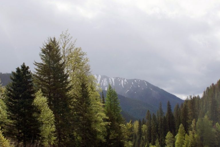 20 Amazing and Unique Places To Stay In Bigfork Discovering Montana