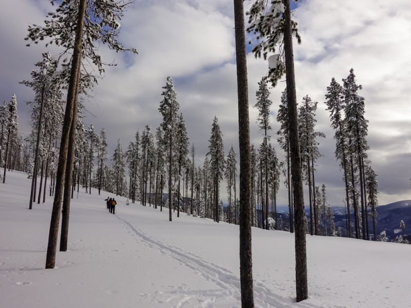 cross-country skiing