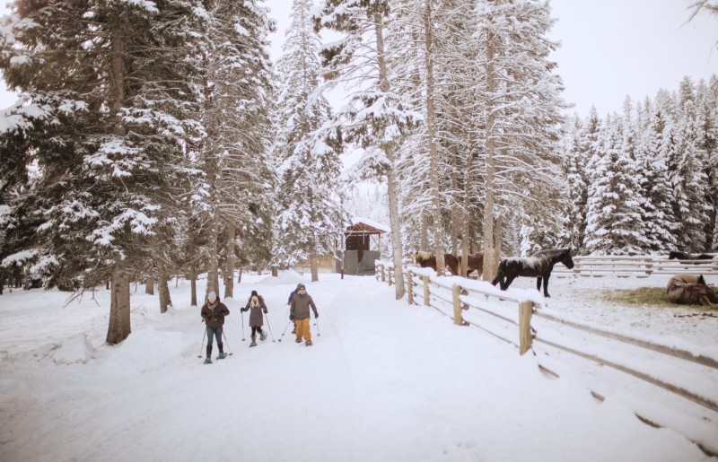 lone mountain ranch