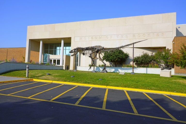 All 14 Dinosaur Museums in Montana For You to Discover Discovering