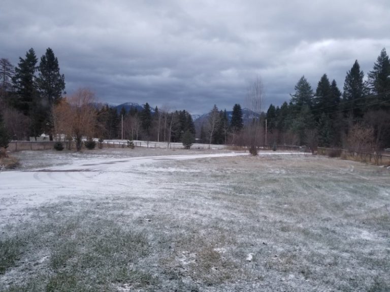 The Most Dangerous Places in Montana & Crime Rates in Montana