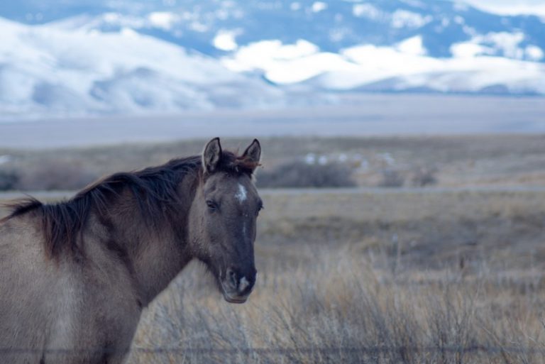 Broadwater County, Montana Map, Events & Towns in Broadwater County, MT