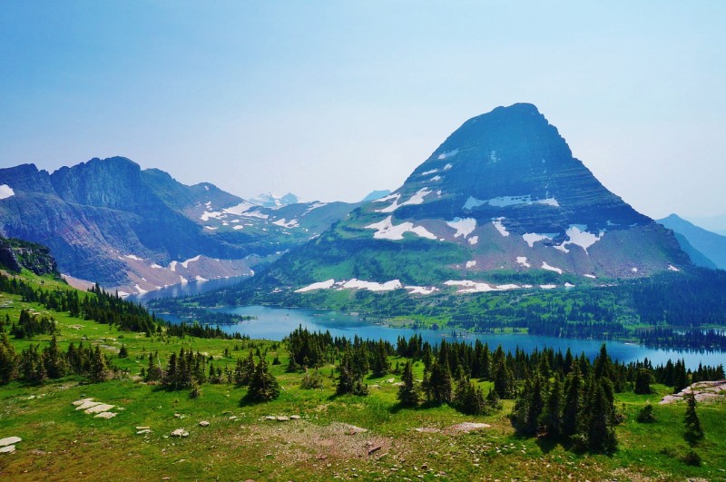 are dogs allowed in glacier national park