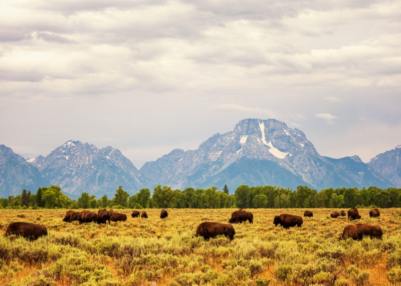 South Browning, Montana Discovering Montana