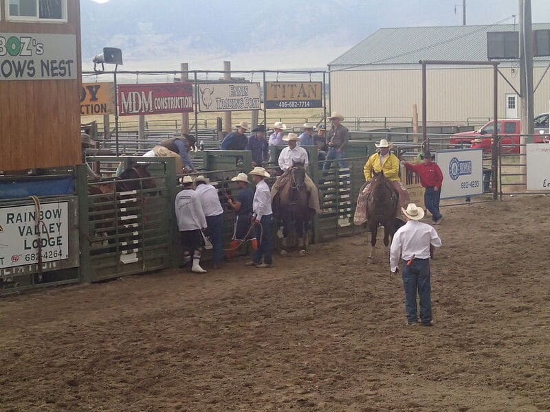 Heritage Days Open Rodeo 