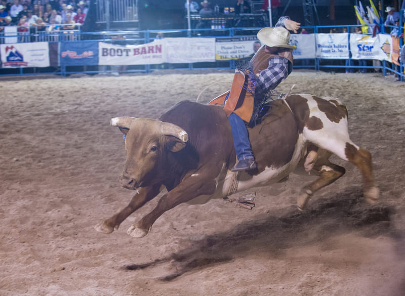 The 10 Best Rodeos in Montana Discovering Montana