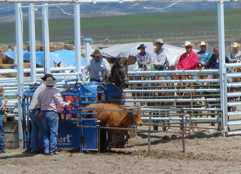 The 10 Best Rodeos in Montana Discovering Montana