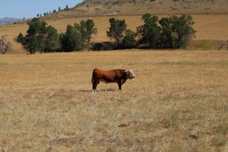 Busby, Montana Discovering Montana