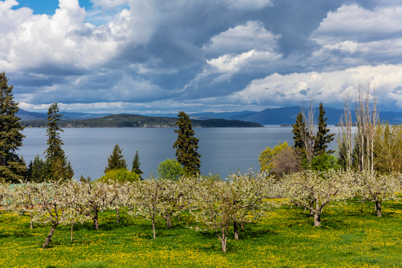 Woods Bay, Montana Discovering Montana