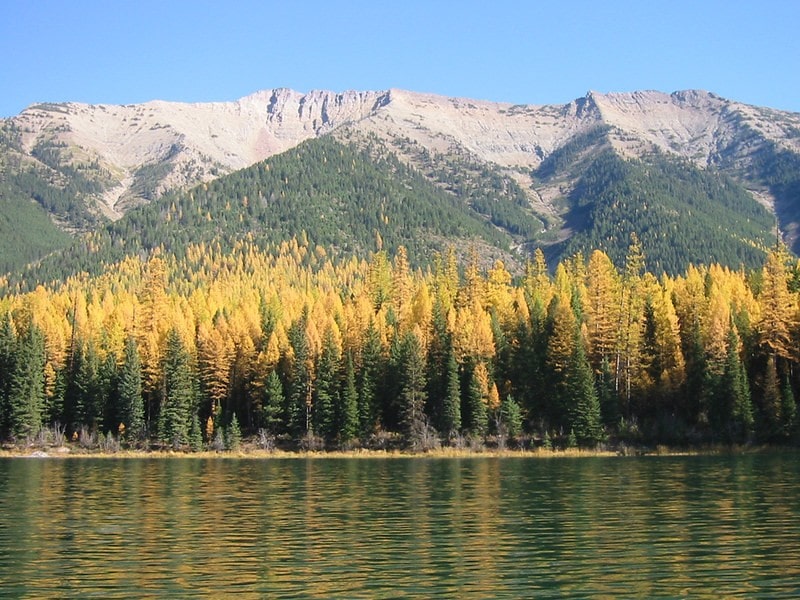 Clearwater River, Montana - Discovering Montana