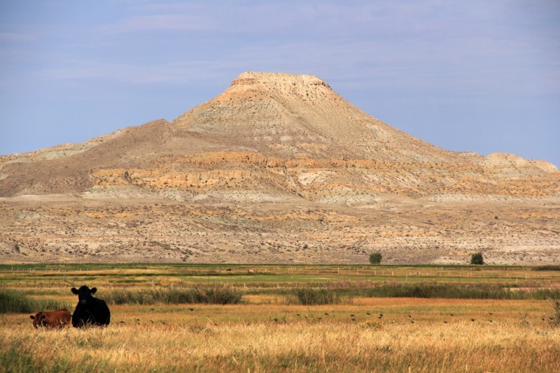 The 7 Reservations in Montana Discovering Montana
