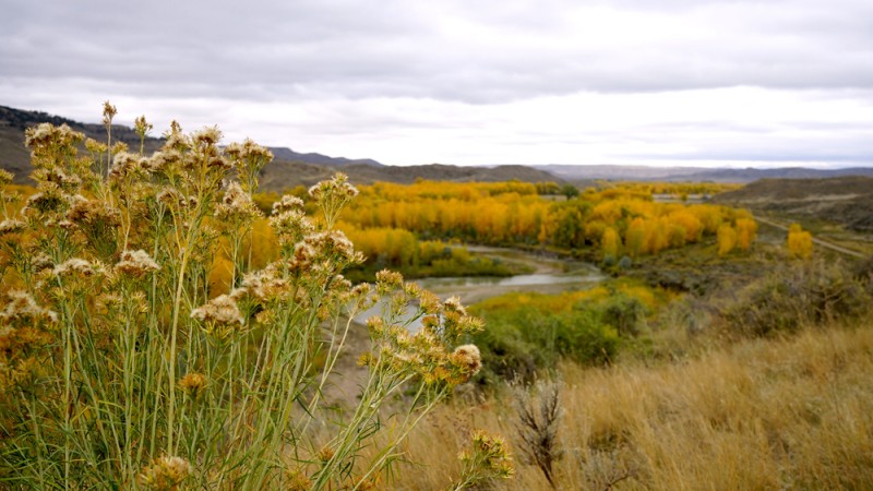 american prairie reserve