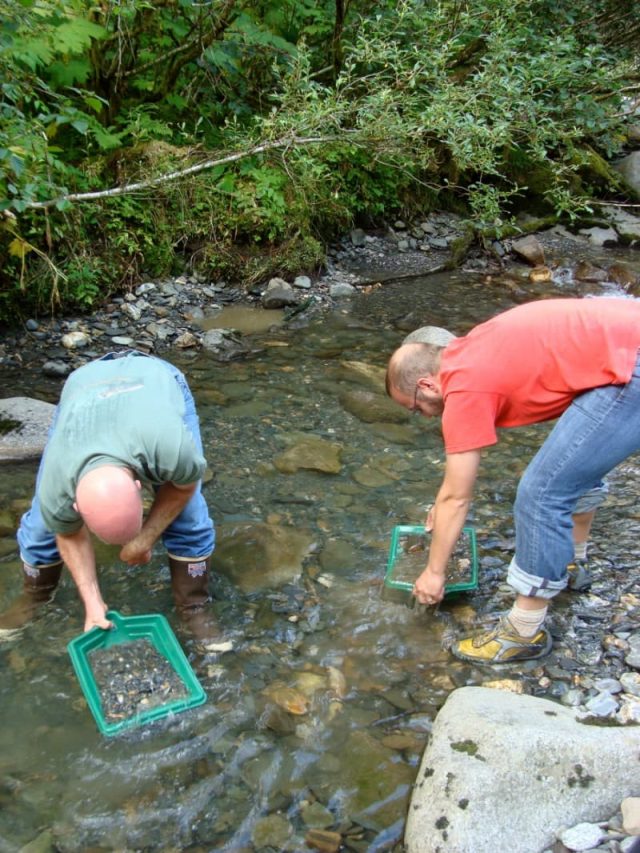 A Complete Guide to Gold Panning in Montana Discovering Montana