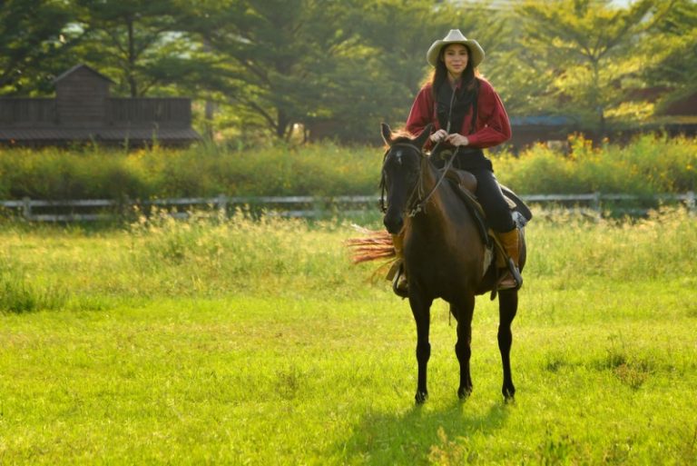 The Best Horseback Riding in Kalispell, Montana Discovering Montana