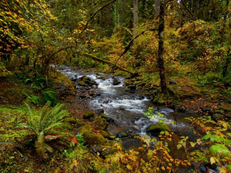 Trout Creek, Montana Discovering Montana