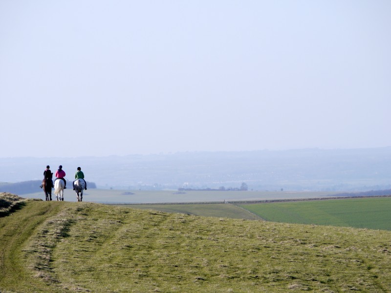 The Best Horseback Riding in Billings, Montana Discovering Montana