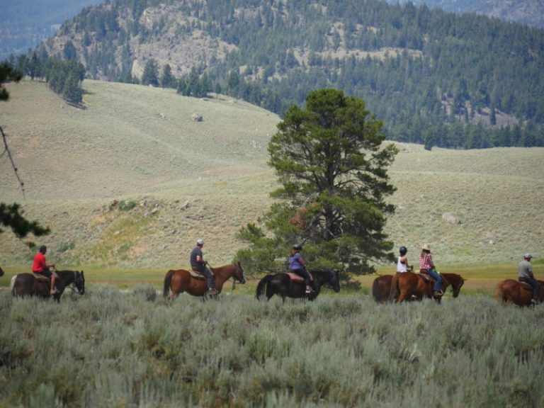 The Best Horseback Riding in Bozeman, Montana Discovering Montana