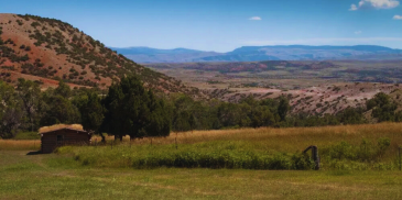 Where to Camp in Billings, Montana: Top Campground Picks