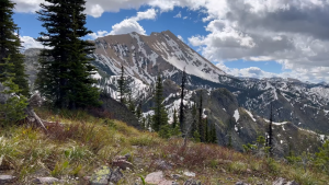 Northern Mountain Trail
