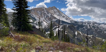 5 Things to Do in Hungry Horse, Montana