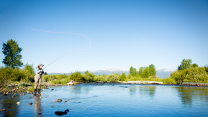 Fishing in montana