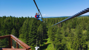 Glacier Ziplines